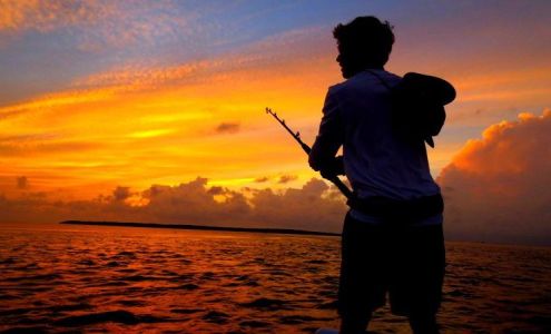 Rockin C Outdoors, LLC