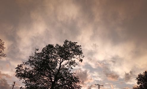 Urban Rental Company