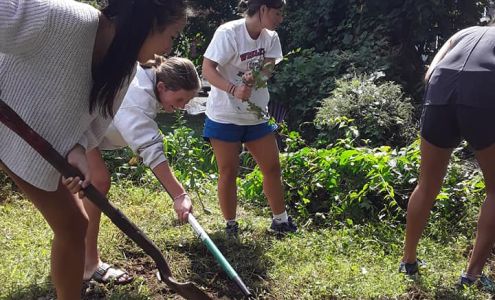 New England Grassroots Environment Fund Newmarket
