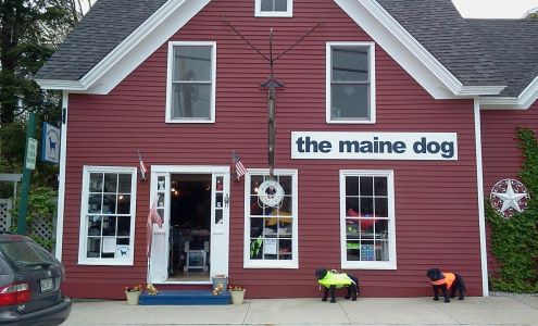 The Maine Dog