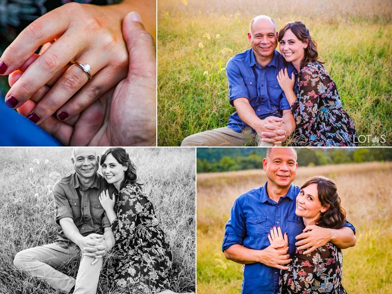 Lotus Creative Studios