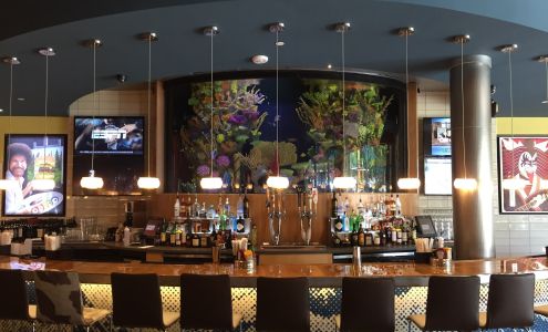 Clearwater Aquarium Services Raleigh