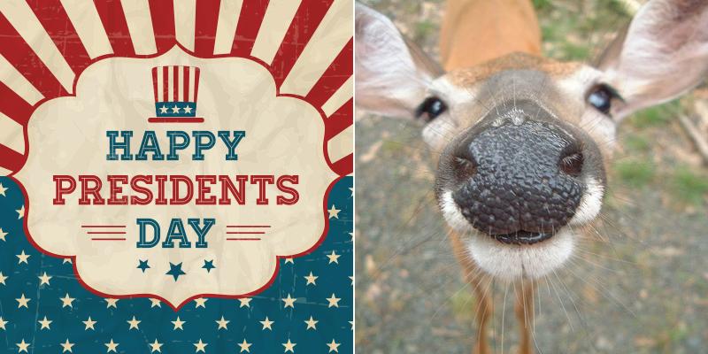 Jensen-Andersen Plumbing & Heating