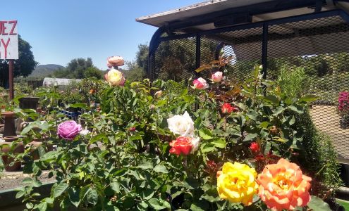Rodriguez Nursery