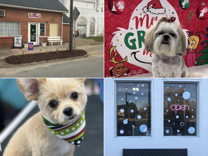 Bubbles & Bows Pet Salon and Boarding of Nashville