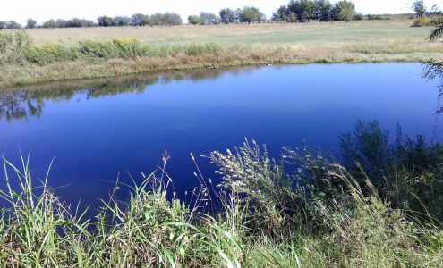 Cowgirl Thang Talala