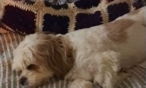 Harborlight Jewelers