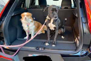 Boston Volvo Cars Parts Department