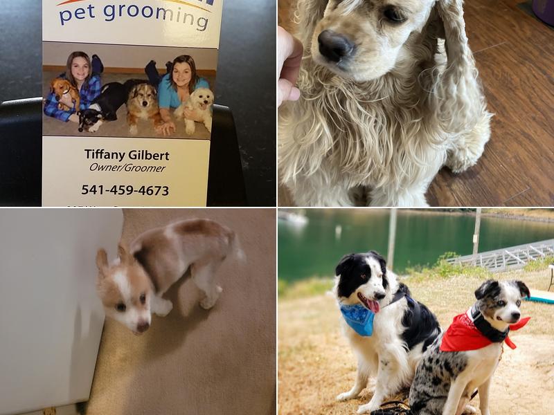 Sutherlin Pets & Grooming