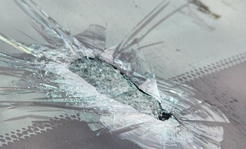 SAPPI - Minong Woodyard