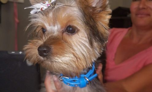 Petscentrix Grooming & Supplies Inc