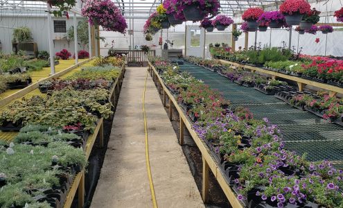 Oak Grove Greenhouse and Poly Outdoor Furniture Alta Vista