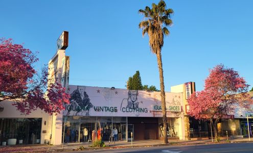 Iguana Vintage Clothing