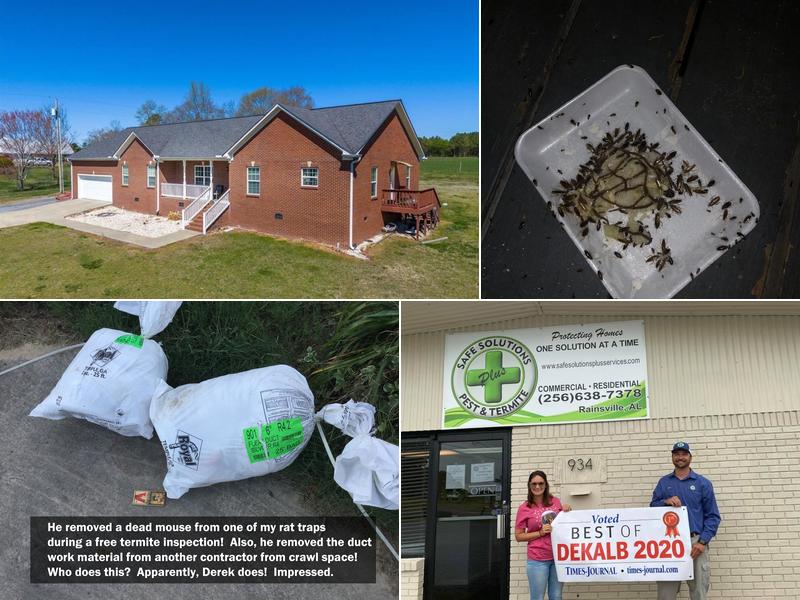 Safe Solutions Plus Pest & Termite