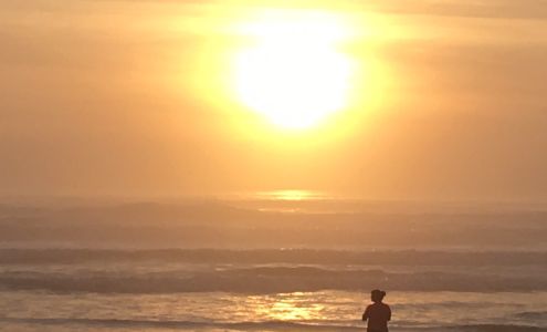 Tillamook Liquor Store