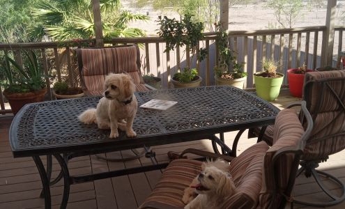 Saddle Vista Ranch Tonopah