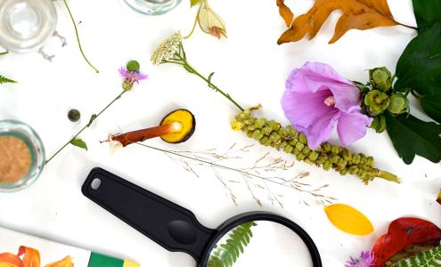 Playful Learning Studio