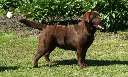 Shallow Creek Farm, LLC Wilsons