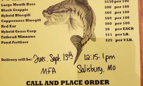 MFA Agri Services Salisbury