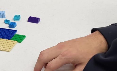 Quad County Department Viburnum Viburnum