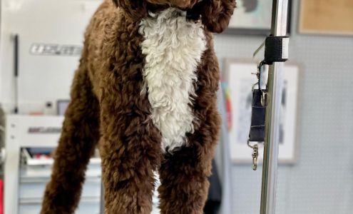 Groomingdales Pet Salon 420 Downtown Plaza, Fairmont Minnesota 56031