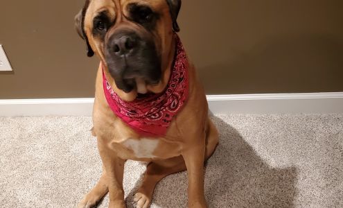 Timberline Pet Ranch