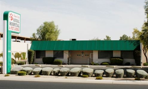 Sun City Animal Hospital