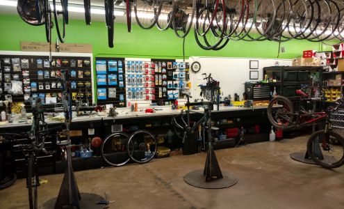 Sun & Spokes Bicycle Shop