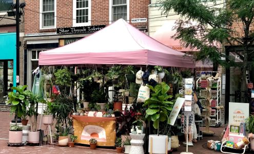 Golden Hour Gift Co (formerly Trinket)