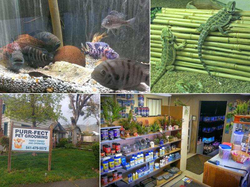 Purr Fect Pet Grooming