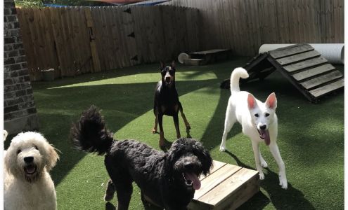 Smooch My Pooch Central