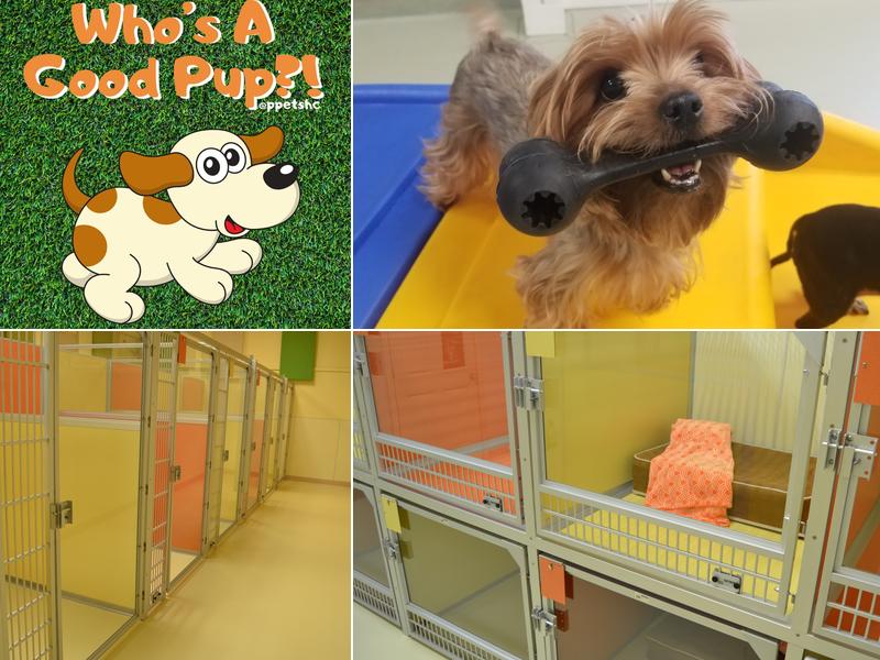 Pampered Pets Hospitality Center