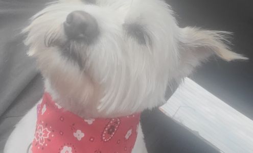 North Hill Pet Grooming & Boarding 201 E Caddo Ave, Wilburton Oklahoma 74578