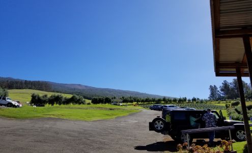 Sunset Tropicals Kula