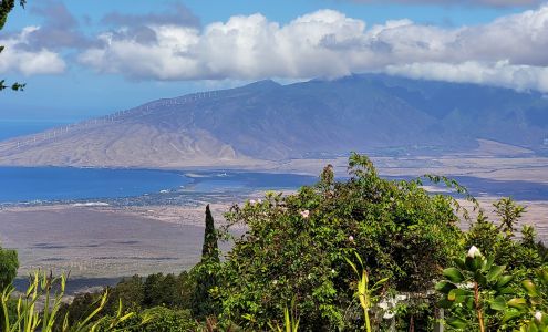 Ali'i Kula Lavender Kula