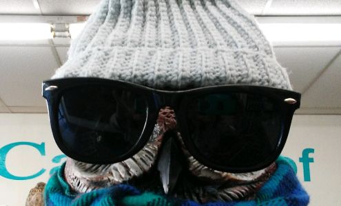 Wize Buys Carpet Shop