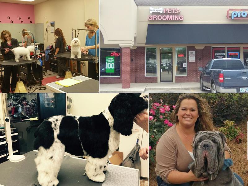 Clips and Bows Pets Grooming