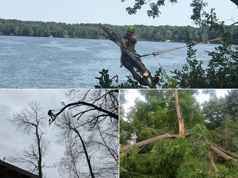 Aaron’s Tree Service