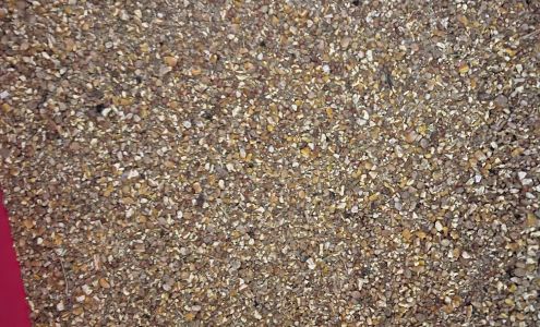 Embudo Valley Organics Embudo