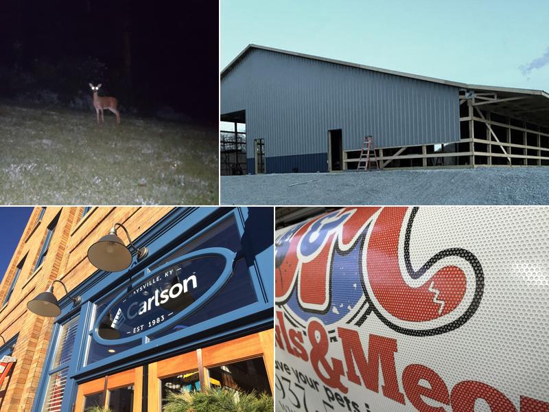 Odyssey Canvas Works