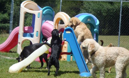 Norwichtown Pet Resort & Spa