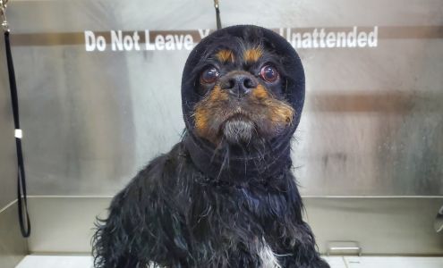 Bow Wow Bakery & Bath