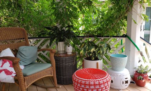 Sunflower Center Ocracoke