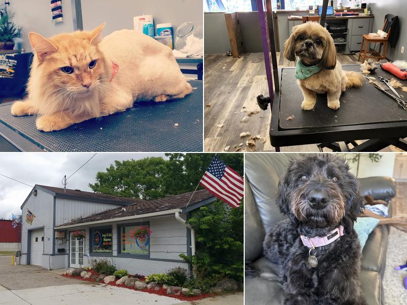 Pawz N Clawz Pet Salon