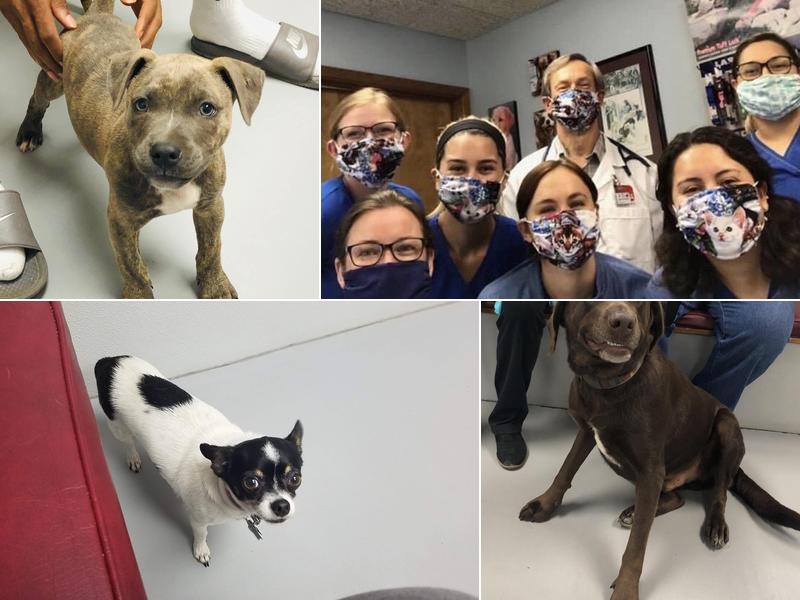 Coastal Plains Animal Clinic