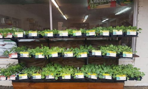 Feed Seed & Farm Supply Georgiana