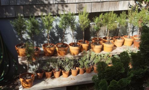 Enchanted Chocolates