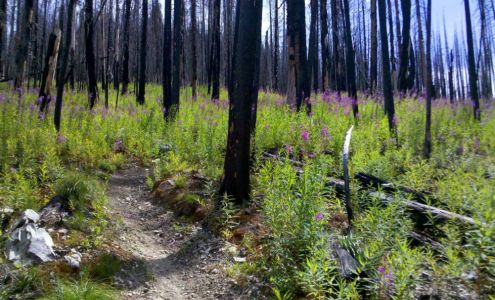 Johnson Appliance Service