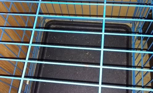 Dillard Winters Jr Complete Broxton