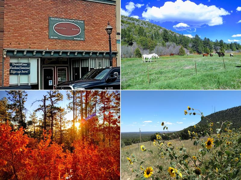 Genesys Computer Sales